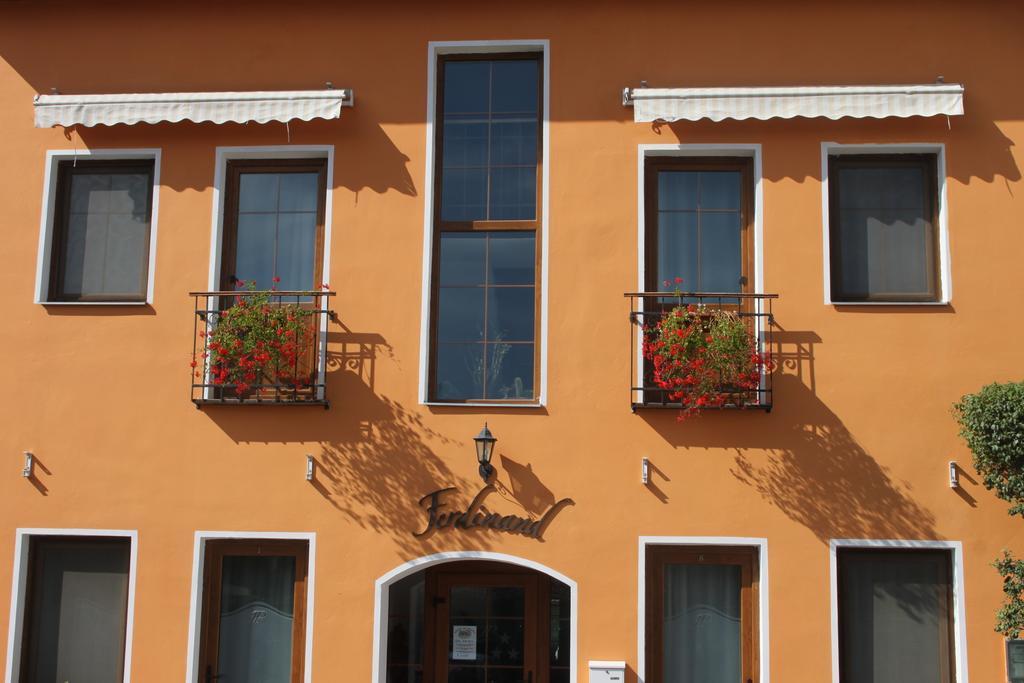 Pension Ferdinand Panzio Sfantu Gheorghe  Exterior photo