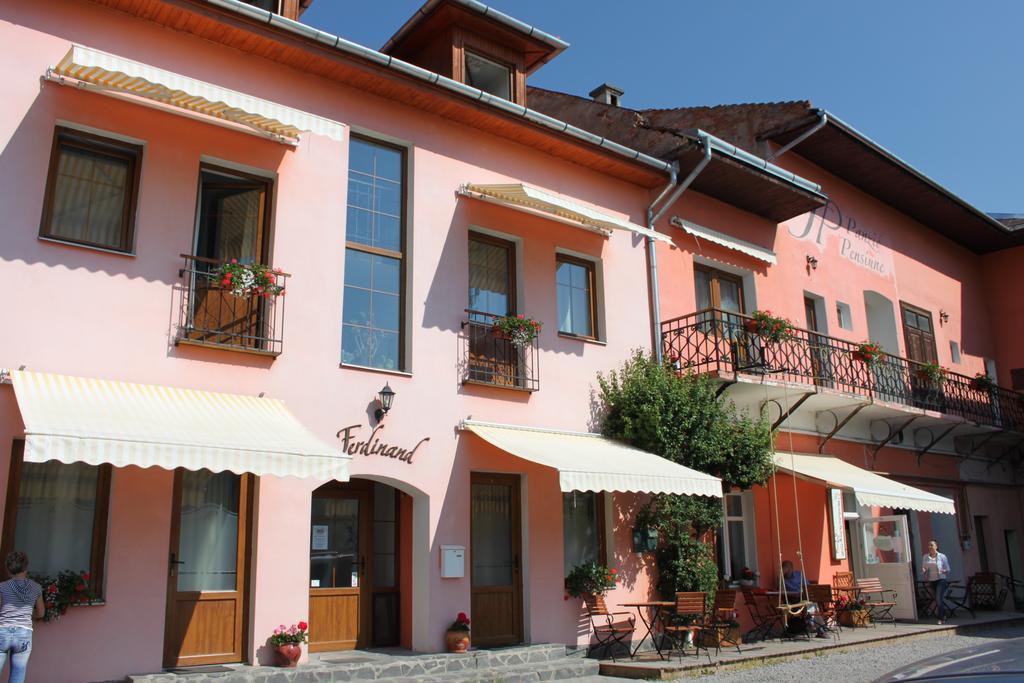 Pension Ferdinand Panzio Sfantu Gheorghe  Exterior photo