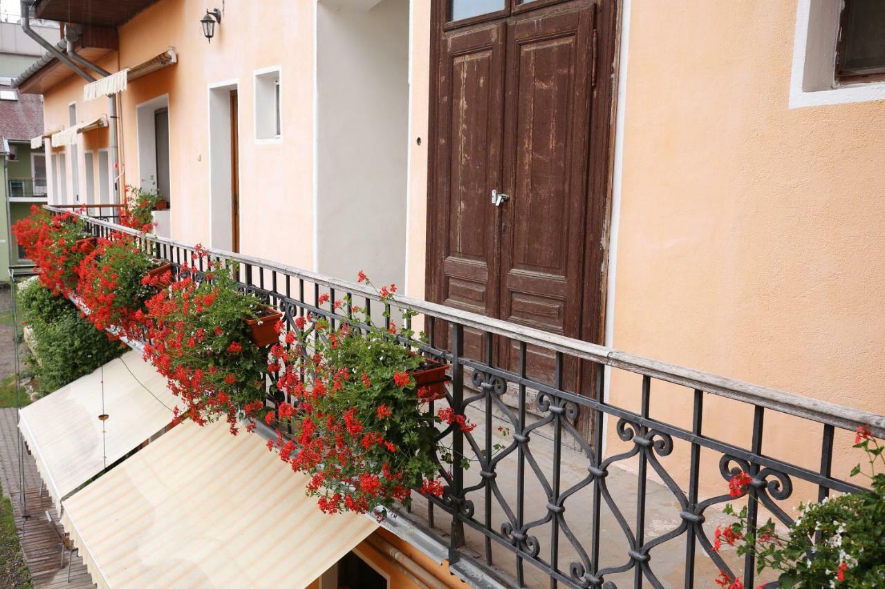 Pension Ferdinand Panzio Sfantu Gheorghe  Exterior photo